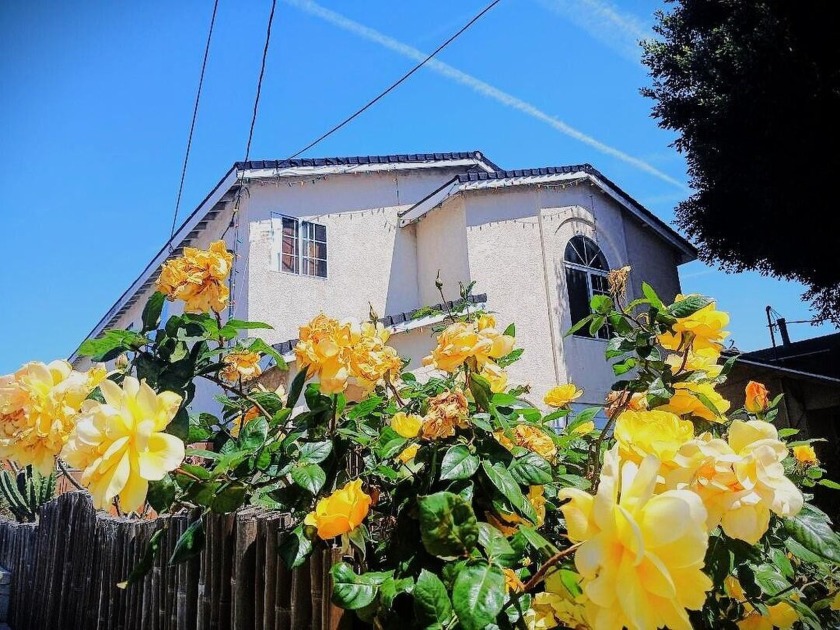 STOP, STOP, STOP, STOP....Do not miss this Exceptional - Beach Home for sale in San Pedro, California on Beachhouse.com