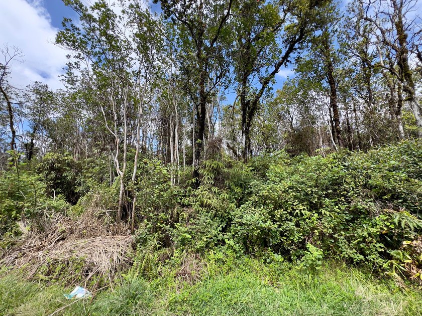 Build your island dream on this vacant lot in the desirable Eden - Beach Lot for sale in Mountain View, Hawaii on Beachhouse.com