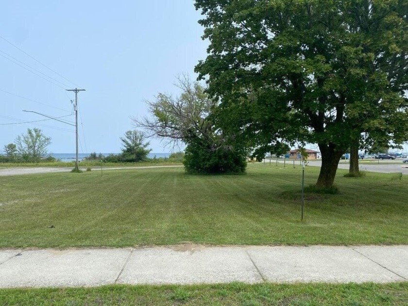 Awesome lakeview parcel only a stone's throw away from Lake - Beach Lot for sale in Rogers City, Michigan on Beachhouse.com