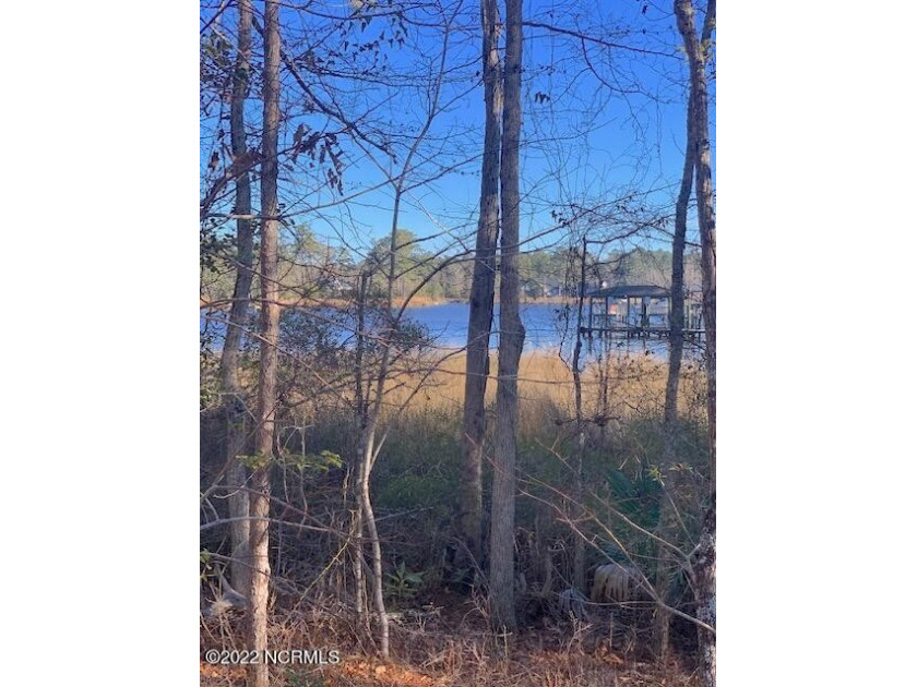 A gorgeous 57.52  wooded acres is located on Tarkiln creek. No - Beach Acreage for sale in Arapahoe, North Carolina on Beachhouse.com