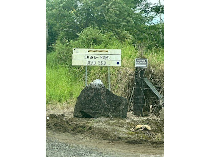 Large vacant lot with great potential. Buyer and Buyer's Agent - Beach Lot for sale in Mountain View, Hawaii on Beachhouse.com