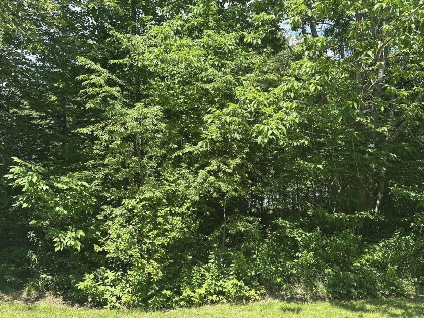 Conveniently located just minutes from unforgettable downeast - Beach Lot for sale in Hancock, Maine on Beachhouse.com