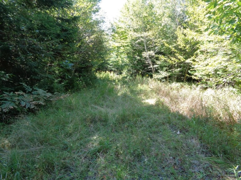 Close to Branch Lake, here is an opportunity to build on an - Beach Lot for sale in Orland, Maine on Beachhouse.com