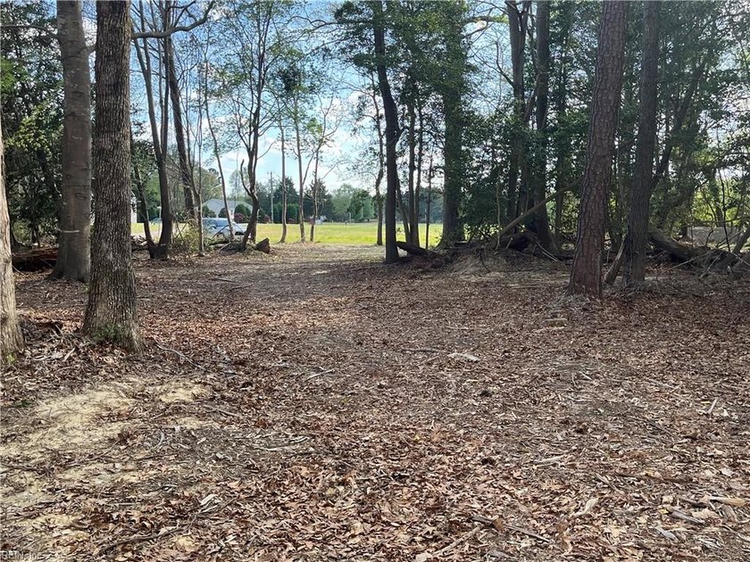 Discover the perfect setting for your dream home on this - Beach Acreage for sale in Surry, Virginia on Beachhouse.com