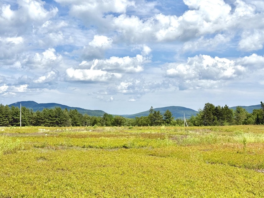 This stunning property spans approximately 154 acres and offers - Beach Acreage for sale in Franklin, Maine on Beachhouse.com
