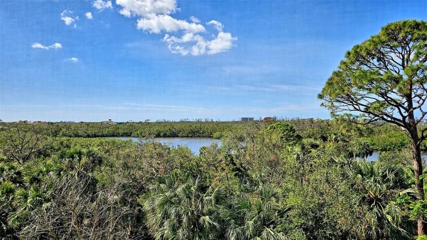 Welcome to a world where luxury living meets breathtaking beauty - Beach Condo for sale in Osprey, Florida on Beachhouse.com