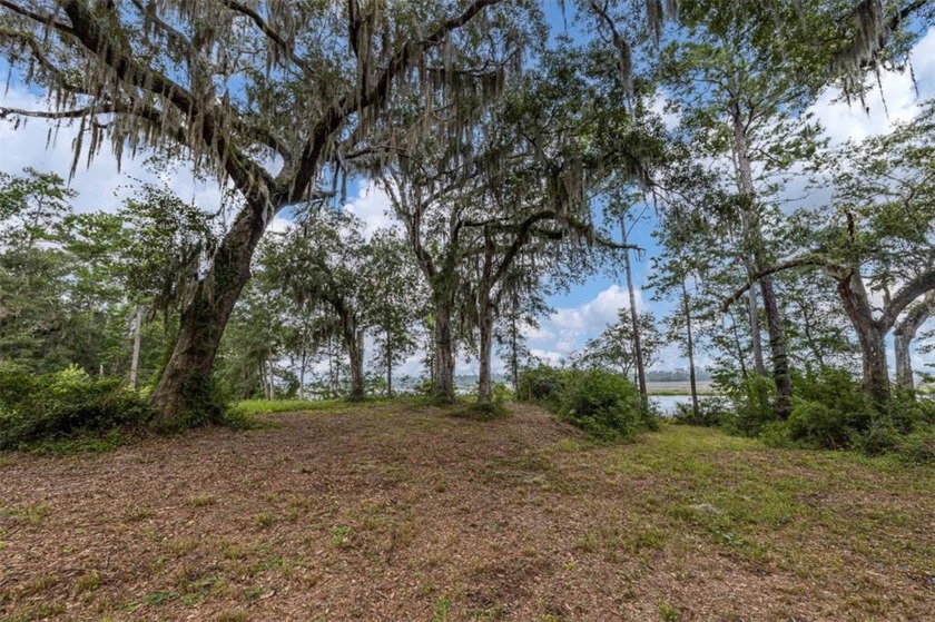 Build your dream home on this beautiful .92 acre lot featuring - Beach Lot for sale in Waverly, Georgia on Beachhouse.com