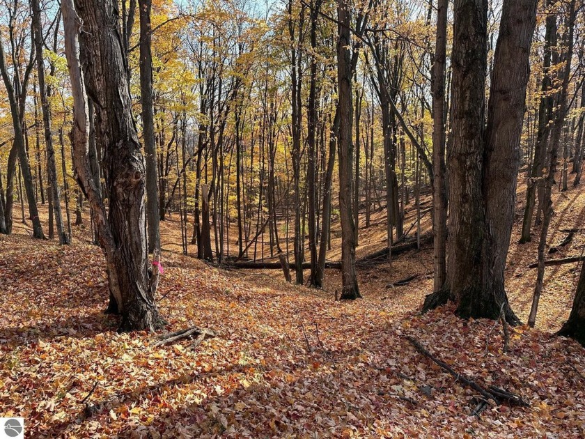 Beautiful 7.5 acre building site in Weathertop subdivision, with - Beach Acreage for sale in Kewadin, Michigan on Beachhouse.com