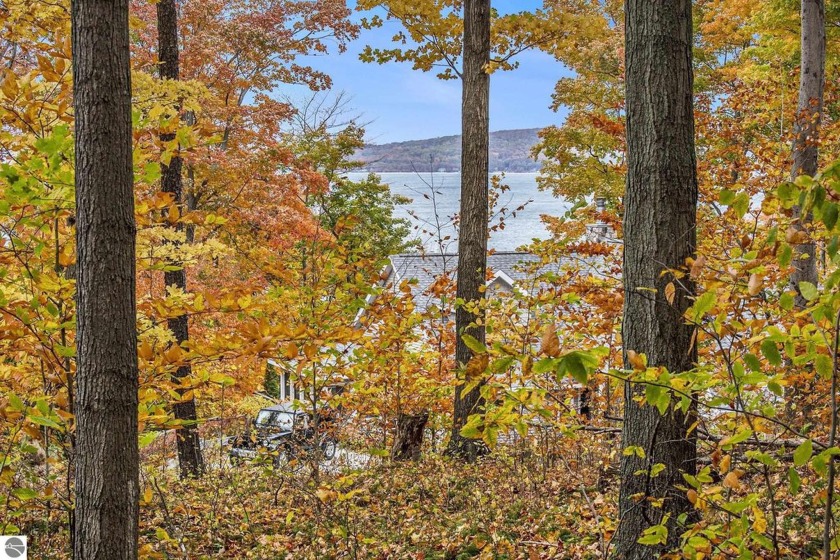 Follow the tunnel of trees up a windy road to this beautifully - Beach Lot for sale in Frankfort, Michigan on Beachhouse.com