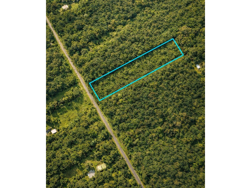Parcel 47 is one of two adjacent lots available (MLS 728665) - Beach Acreage for sale in Mountain View, Hawaii on Beachhouse.com