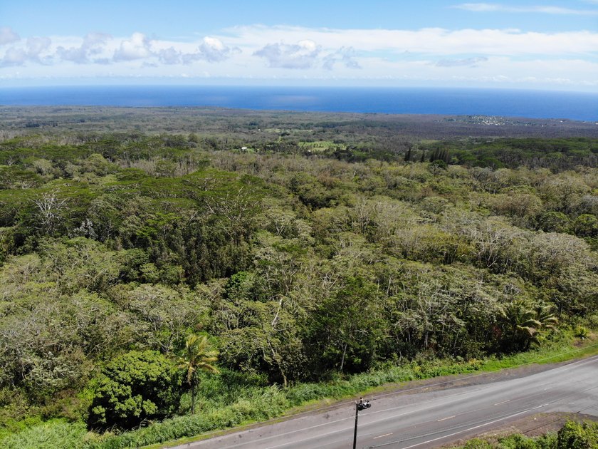 Steam vent property - Rare opportunity to own approximately 13.4 - Beach Acreage for sale in Pahoa, Hawaii on Beachhouse.com