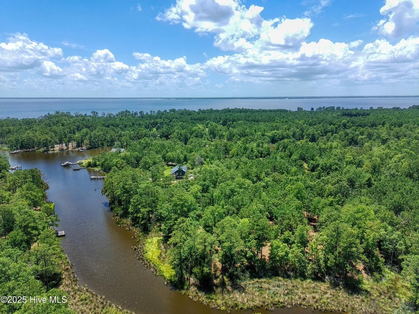 Wooded waterfront lot with nearly 250' of waterfrontage along - Beach Lot for sale in Bath, North Carolina on Beachhouse.com