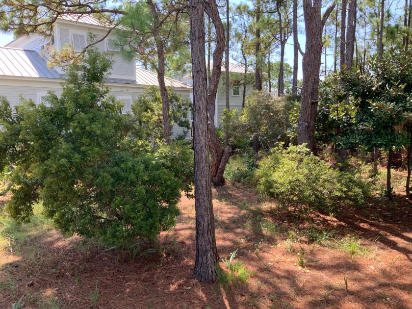 This beautiful wooded lot, adjacent to the protected wetlands - Beach Lot for sale in Panama City Beach, Florida on Beachhouse.com