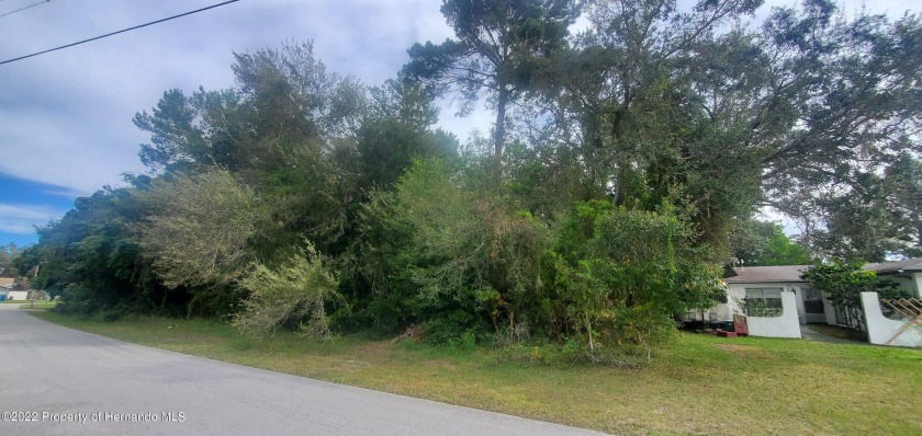 If you are looking for a buildable lot in an established - Beach Lot for sale in Spring Hill, Florida on Beachhouse.com