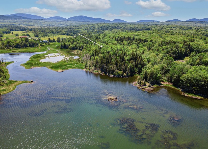 Exceptional Waterfront Parcel on Thomas Bay. Nestled in an - Beach Acreage for sale in Bar Harbor, Maine on Beachhouse.com