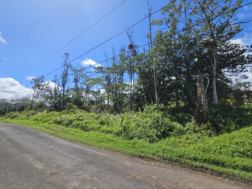 This is a great lot nestled in the beautiful Hawaiian Paradise - Beach Lot for sale in Keaau, Hawaii on Beachhouse.com