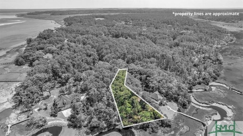 Build your dream home on this stunning lot nestled against the - Beach Lot for sale in Townsend, Georgia on Beachhouse.com