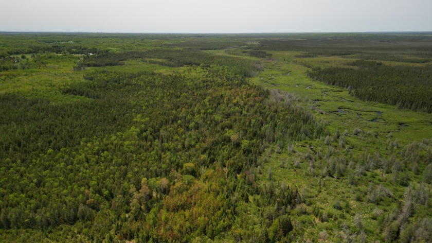 A wonderful opportunity to own 480 Arces of land. Right in the - Beach Acreage for sale in Gulliver, Michigan on Beachhouse.com