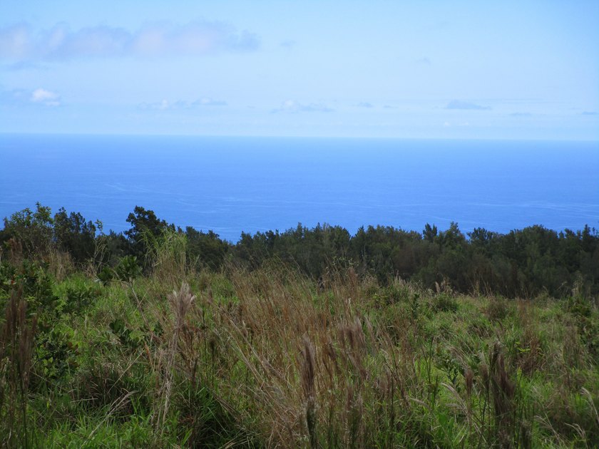 Spectacular oceans views from almost anywhere on this 13 plus - Beach Acreage for sale in Laupahoehoe, Hawaii on Beachhouse.com