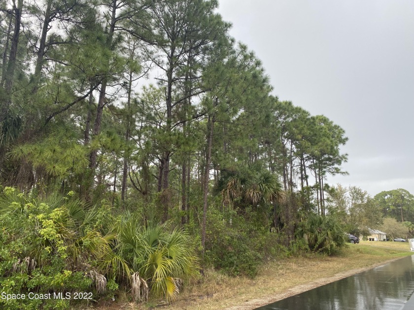 Build your home in this beautiful lot.  Close to the new St - Beach Lot for sale in Palm Bay, Florida on Beachhouse.com