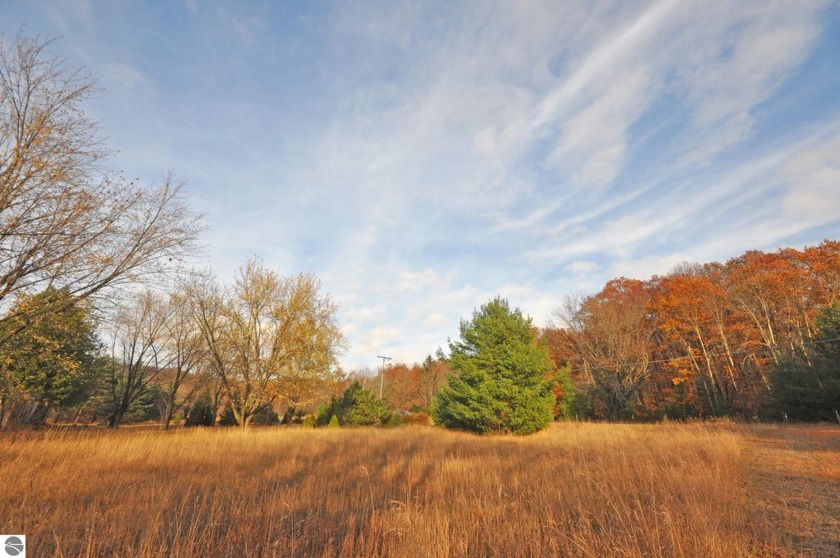 Excellent, level, and mostly cleared vacant lot on Dunns Farm - Beach Lot for sale in Maple City, Michigan on Beachhouse.com