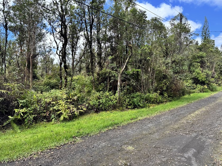 Discover the opportunity to own one acre of wooded land in - Beach Lot for sale in Mountain View, Hawaii on Beachhouse.com