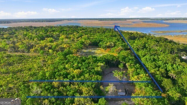 COASTAL LIVING WITHOUT THE PRICE - 1+ ACRE, NO WETLANDS, NO HOA! - Beach Home for sale in Shellman Bluff, Georgia on Beachhouse.com