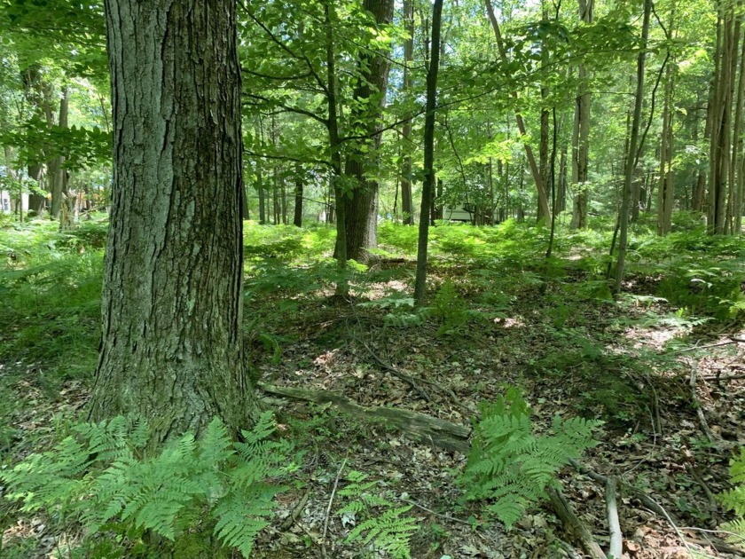 Georgous Lake Michigan Beach area.  This is the  opportunity - Beach Lot for sale in Mears, Michigan on Beachhouse.com