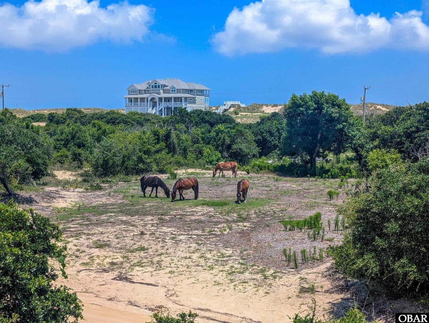 Discover the perfect opportunity to build your dream beach - Beach Lot for sale in Corolla, North Carolina on Beachhouse.com