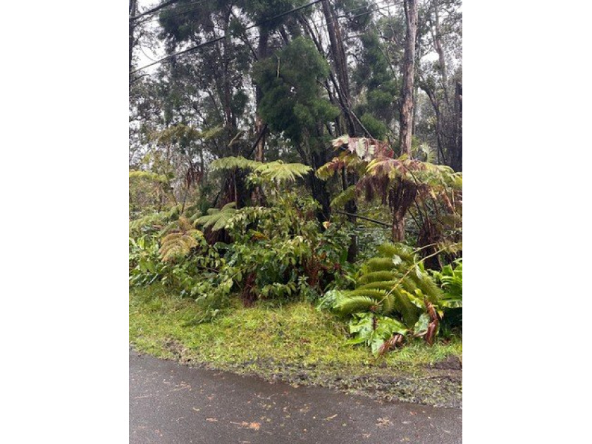 Beautiful, lush volcano lot surrounded by nice homes and - Beach Lot for sale in Volcano, Hawaii on Beachhouse.com