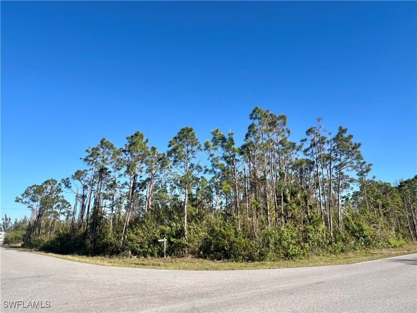 This gorgeous Corner lot located in South Gulf Cove is waiting - Beach Lot for sale in Port Charlotte, Florida on Beachhouse.com