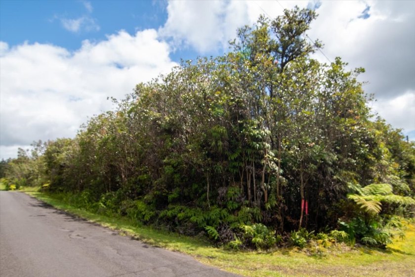 Affordable 2.00 acres in the Hawaiian Rainforest on the big - Beach Acreage for sale in Mountain View, Hawaii on Beachhouse.com