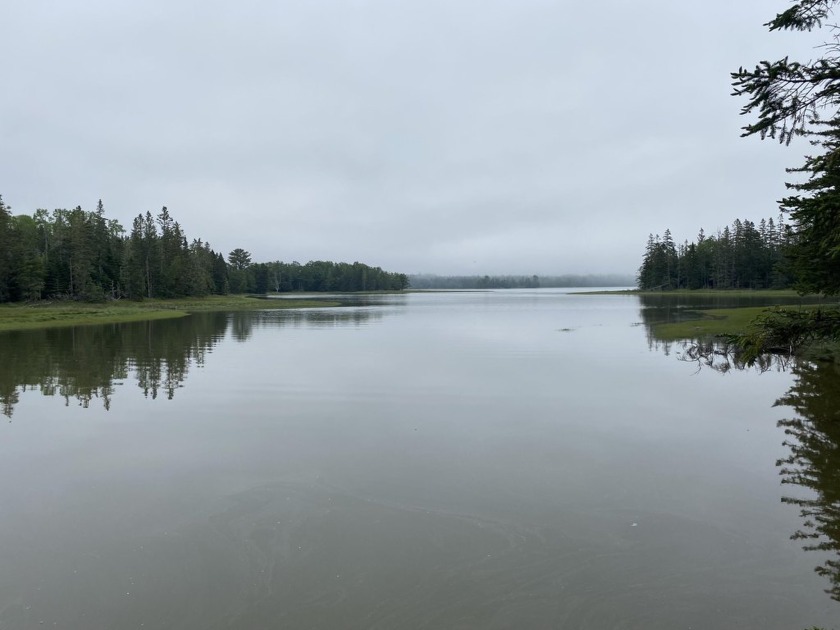 Waterfront lot to build your dream home or cottage - Beach Acreage for sale in Gouldsboro, Maine on Beachhouse.com