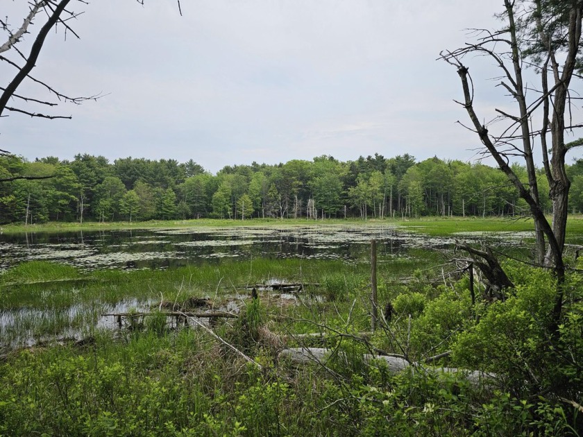 This 2.68 acre parcel has 437' of waterfront on the Ice Pond in - Beach Acreage for sale in Boothbay, Maine on Beachhouse.com