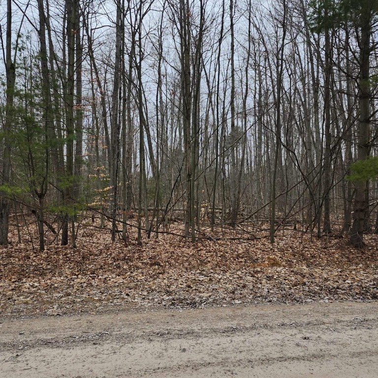 Beautiful wooded lot with approx. 1 acre to build your dream - Beach Lot for sale in Greenbush, Michigan on Beachhouse.com