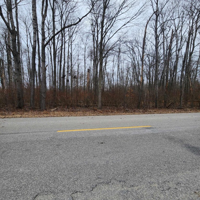 Double lot with approximately 2 acres ready for your new home on - Beach Acreage for sale in Greenbush, Michigan on Beachhouse.com