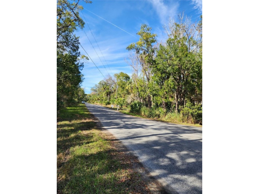 Located in Old Homosassa famously known for the manatees! This - Beach Lot for sale in Homosassa, Florida on Beachhouse.com