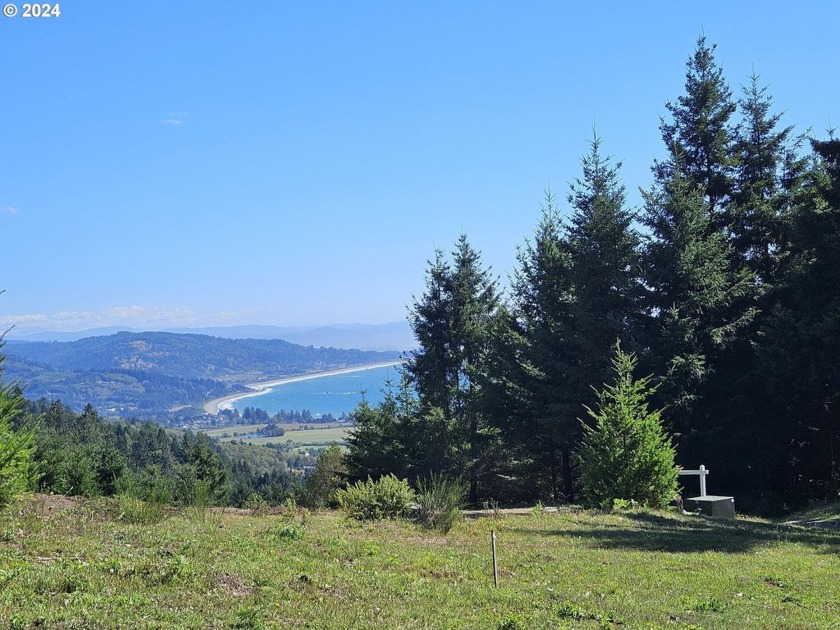 OCEANVIEW ACREAGE WITH NO CC&R'S AND NO HOA! Follow a lush green - Beach Lot for sale in Brookings, Oregon on Beachhouse.com