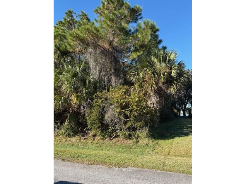 Build your dream home on this .23-acre vacant lot nestled on a - Beach Lot for sale in Palm Coast, Florida on Beachhouse.com