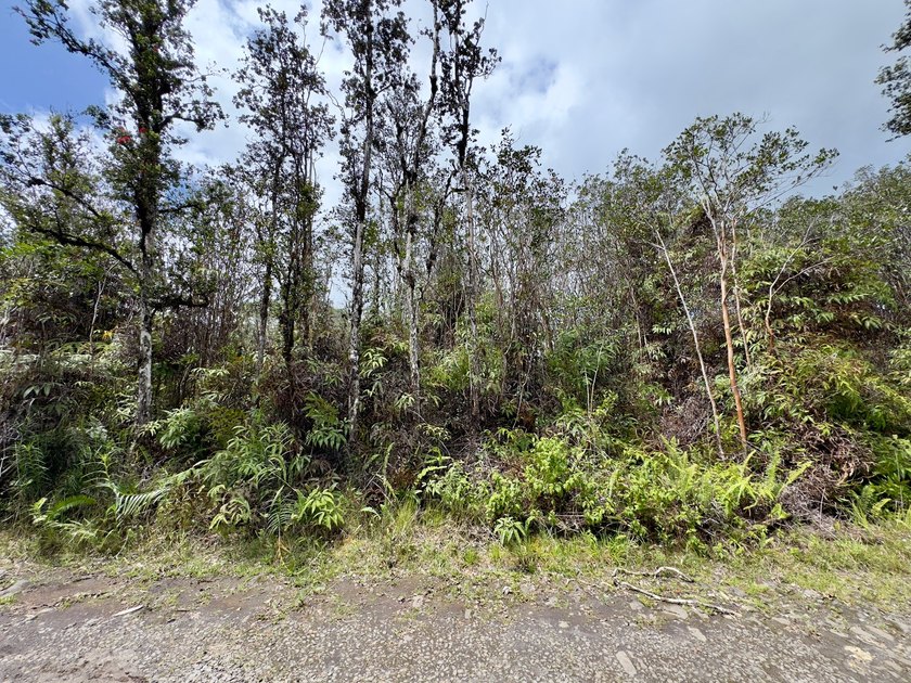 Opportunity awaits with this 3-acre parcel in the Hawaiian Acres - Beach Acreage for sale in Kurtistown, Hawaii on Beachhouse.com