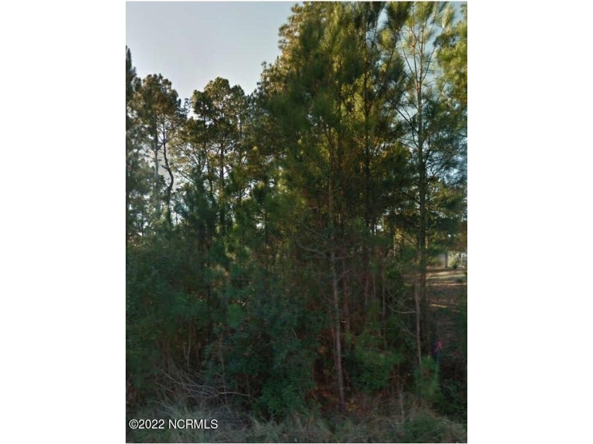 Great placement in the quaint subdivision of Riverside.  This - Beach Lot for sale in Supply, North Carolina on Beachhouse.com