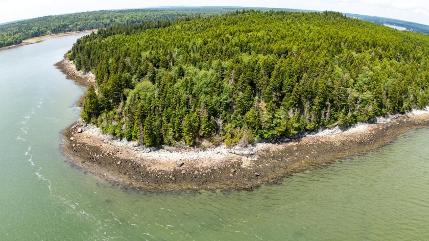 Step off the beaten path and into a pocket of primeval coastal - Beach Acreage for sale in Jonesboro, Maine on Beachhouse.com