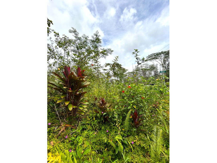 Discover a build-ready lot in Nanawale Estates with valuable - Beach Lot for sale in Pahoa, Hawaii on Beachhouse.com
