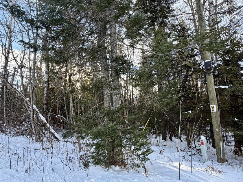 Buildable lot with a completed wetland evaluation. Located on a - Beach Lot for sale in Cheboygan, Michigan on Beachhouse.com