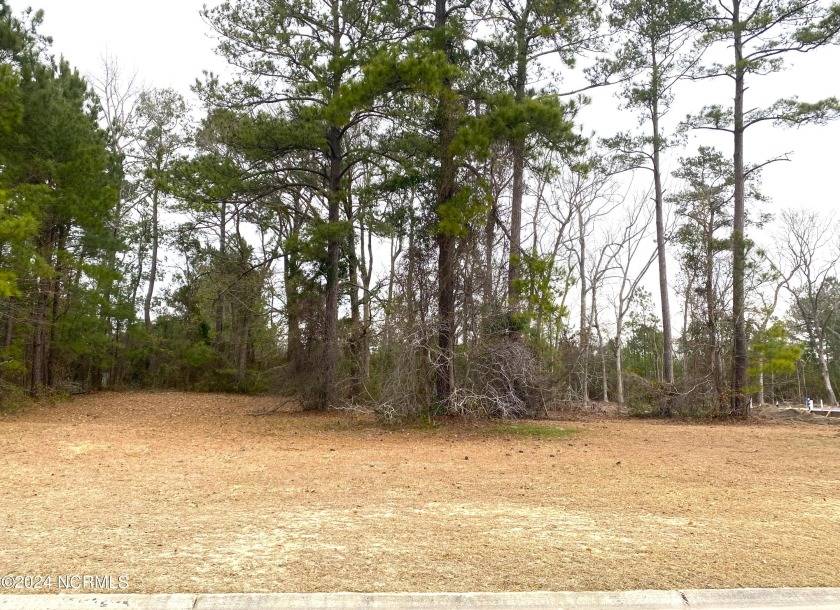 Build your dream home! Do not miss out on this  lot in the - Beach Lot for sale in Calabash, North Carolina on Beachhouse.com