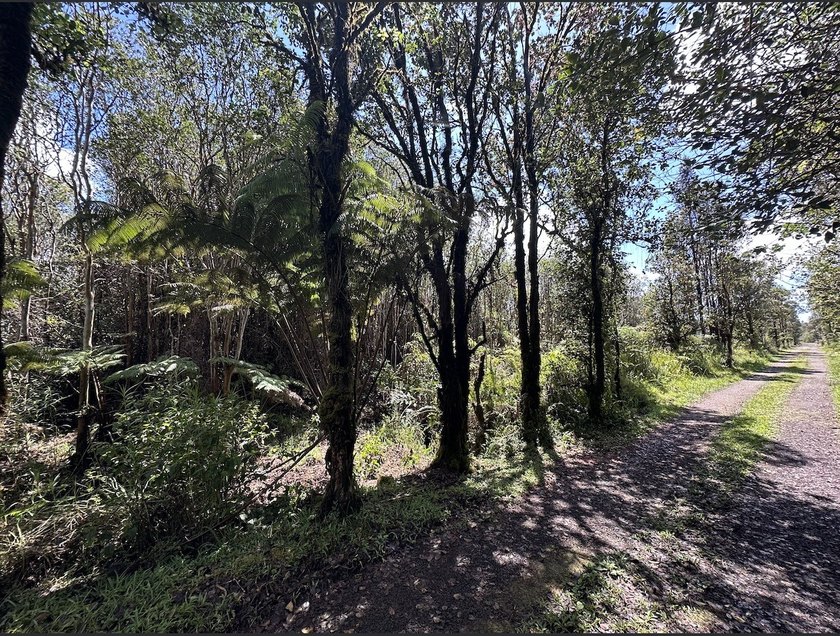 12,005 sq. ft. vacant lot in upper Mountain View. Lightly - Beach Lot for sale in Mountain View, Hawaii on Beachhouse.com