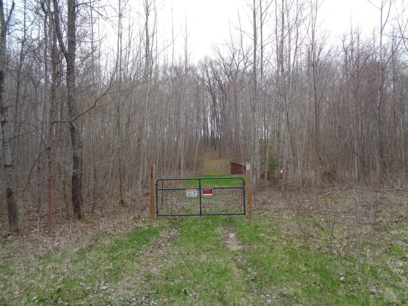 Just under 5 acres of land ready for resort development or to - Beach Acreage for sale in Greenbush, Michigan on Beachhouse.com