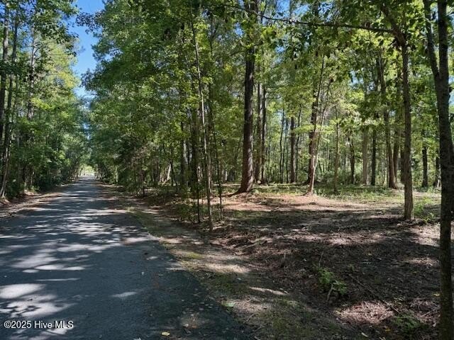 A gorgeous water access homesite within walking distance of - Beach Lot for sale in Oriental, North Carolina on Beachhouse.com