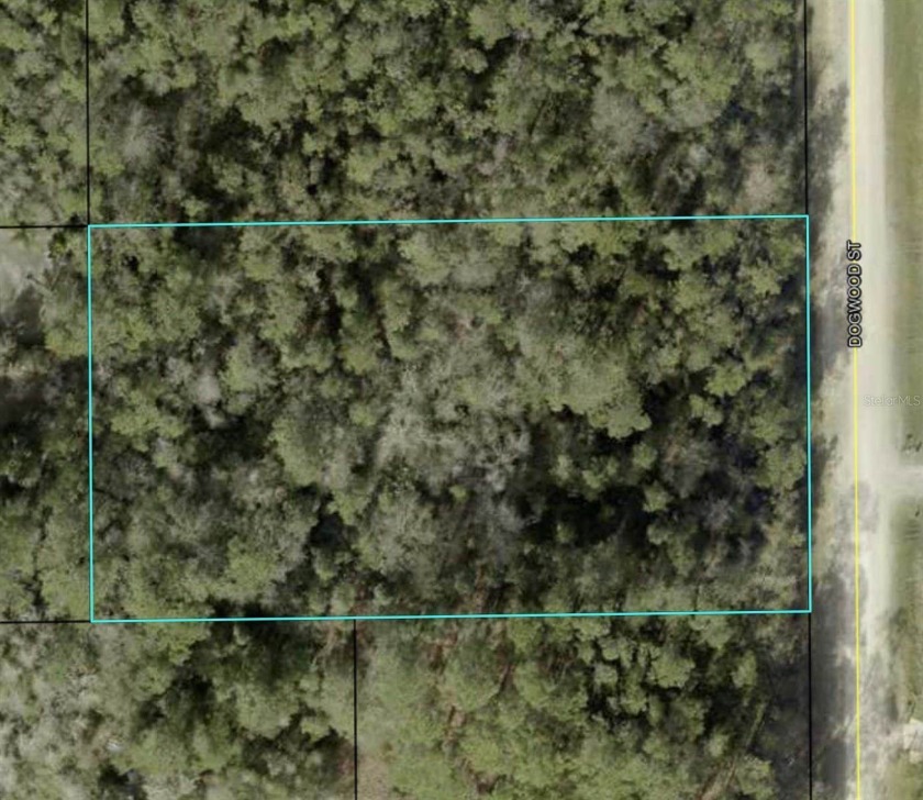 Are you looking for a location to invest or to put your future - Beach Lot for sale in Bunnell, Florida on Beachhouse.com