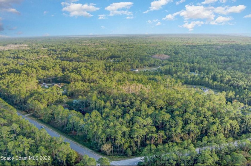 5.09 acres of buildable land nestled in the GATED Lake Harney - Beach Acreage for sale in Mims, Florida on Beachhouse.com